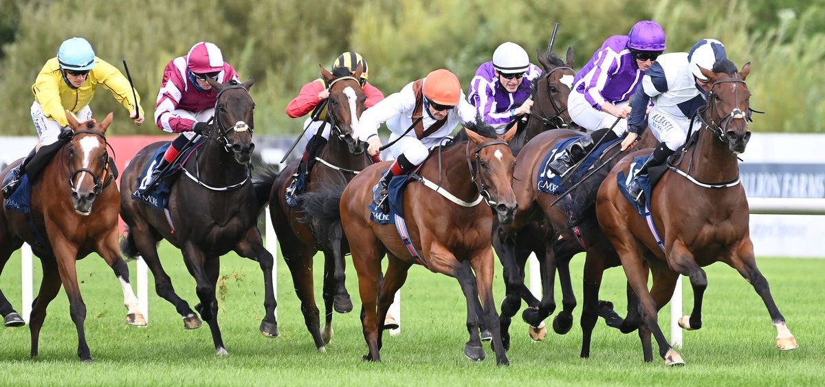 No Speak Alexander (dam purchased and mating advised) winning the G1 Matron Stakes at Leopardstown