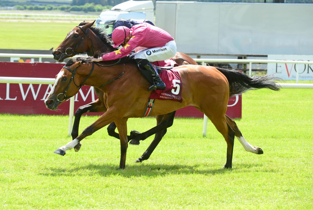 Thundering Nights (dam purchased for owner/breeder) winning the G1 Pretty Polly Stakes at The Curragh