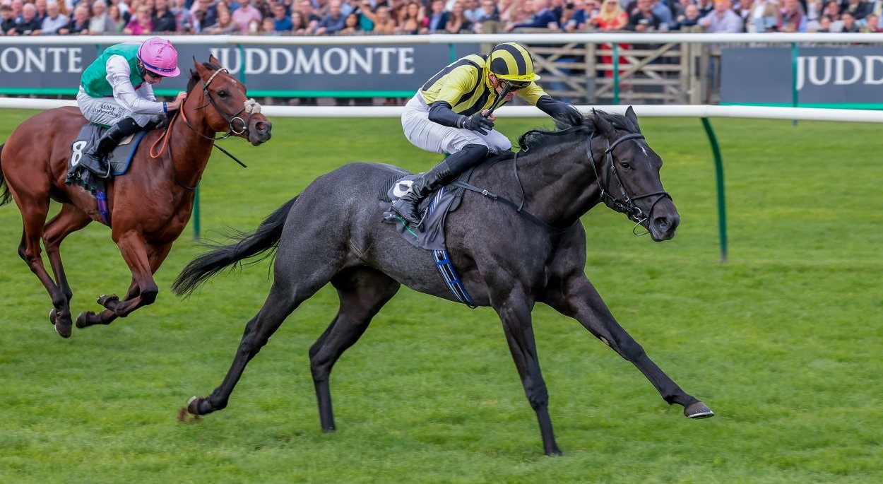 Vandeek winning his second Group-1 in the Middle Park Stakes at Newmarket