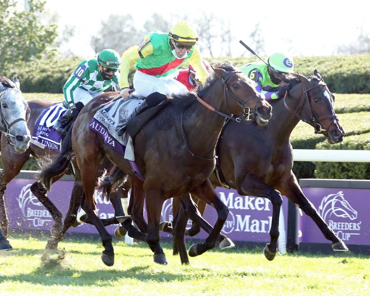 Audarya winning the G1 Breeders' Cup Filly & Mare Turf