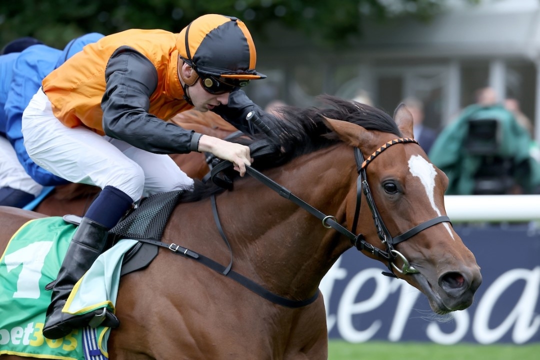 Arabian Dusk winning the G2 Duchess Of Cambridge Stakes